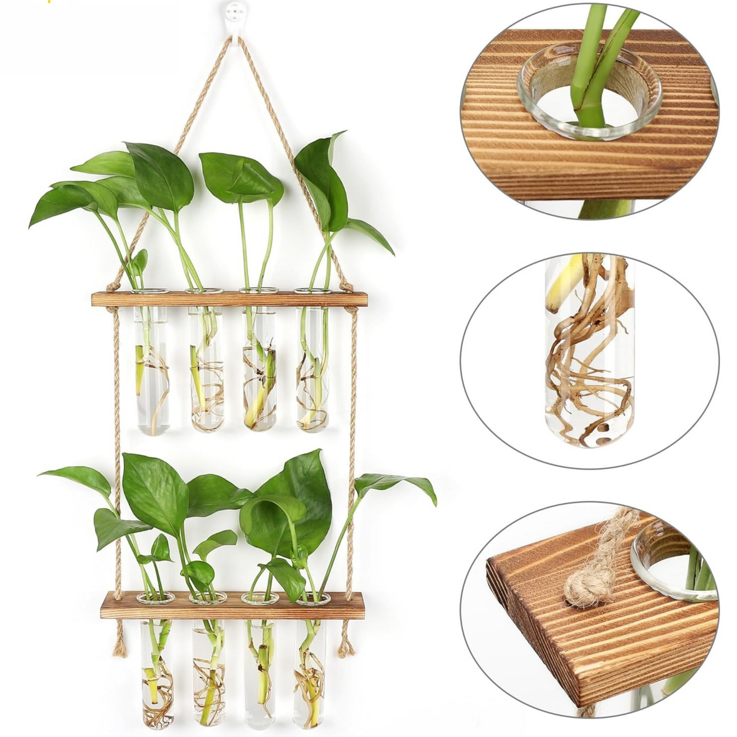 Wall-Mounted Hydroponic Glass Vase