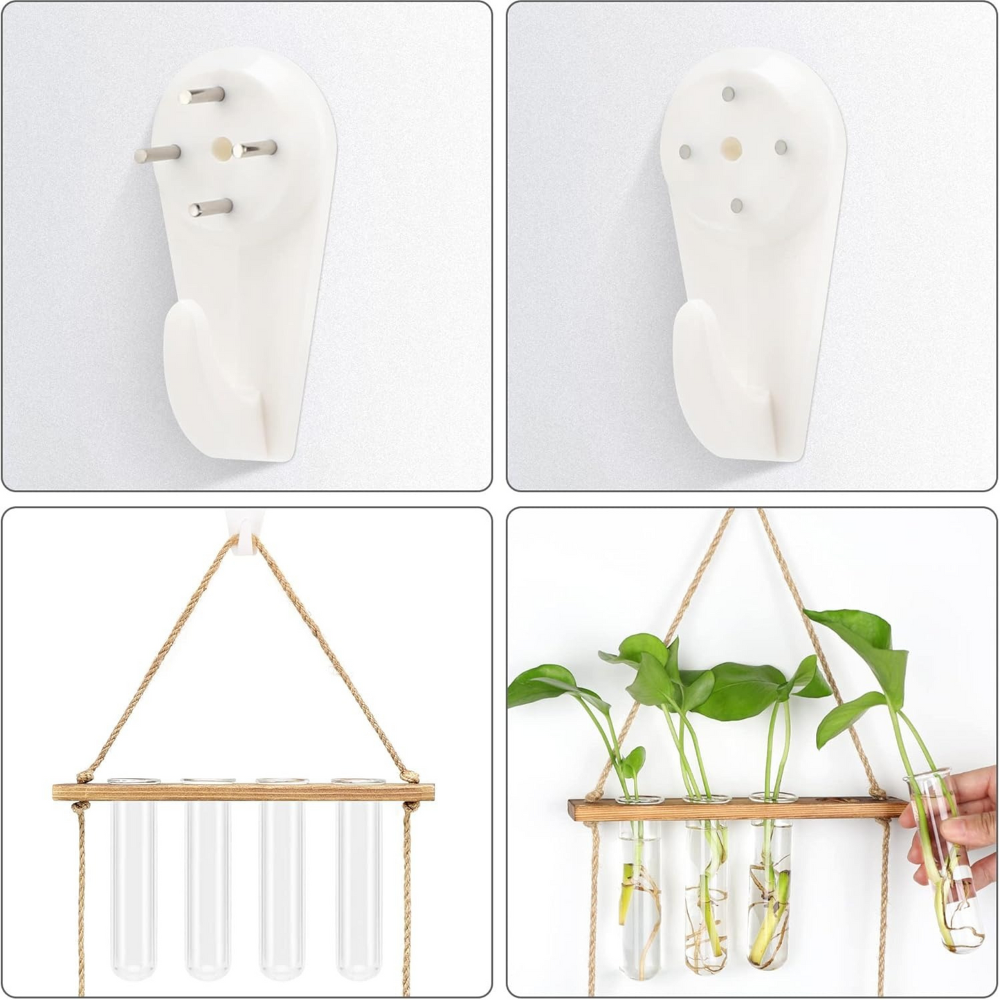 Wall-Mounted Hydroponic Glass Vase