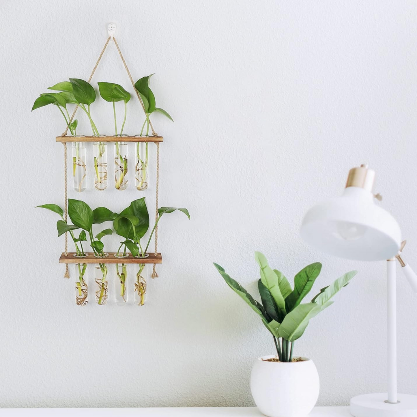 Wall-Mounted Hydroponic Glass Vase